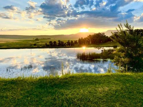 Grey Goose Game Lodge