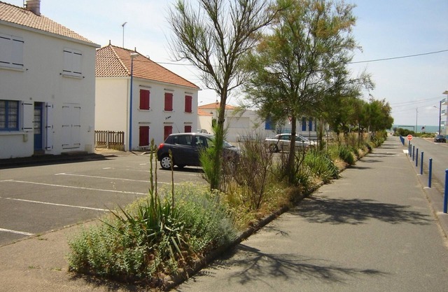 Ground floor apartment 100m from beach, pets allowed, easy parking