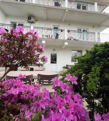Guest house Junona
