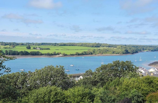 Gwylan Uchaf