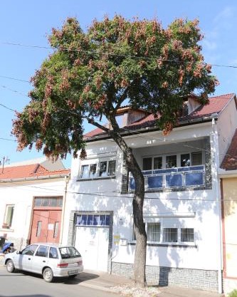 Hív-Lak Apartman