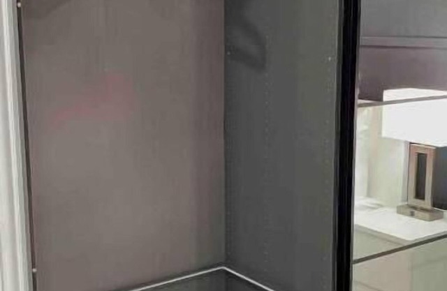 H&S Pleasure Suite with Jacuzzi 8 mi from IAH