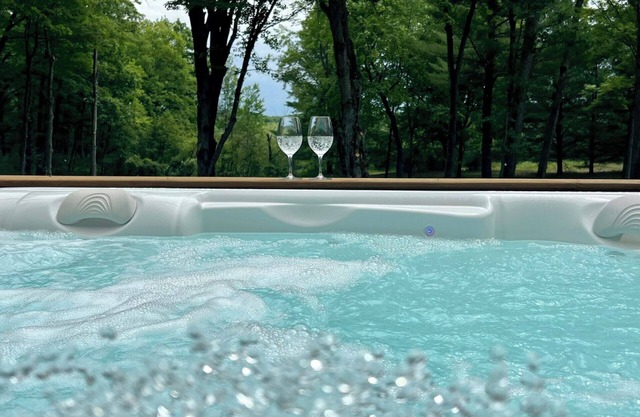 Hall Creek Lodge - Large Friend & Family Spa Retreat | TC, MI
