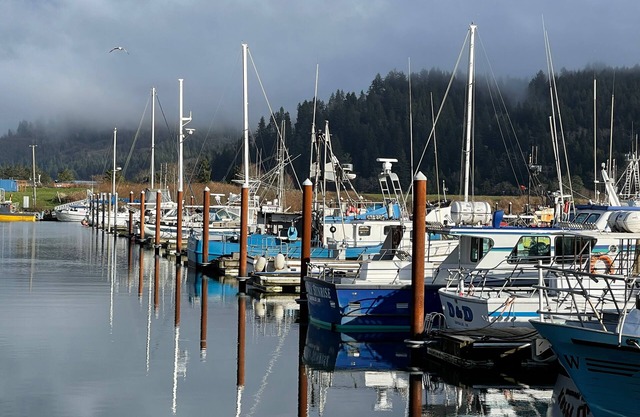 Harborview Inn & RV Park