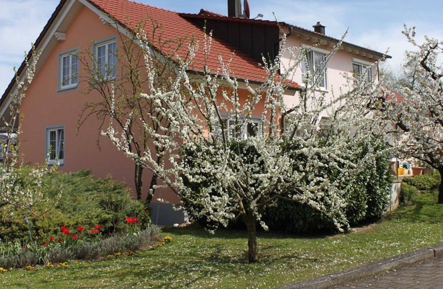 Haus Eschbach - Apartment, 45 sqm, ground floor, 1 living room / bedroom, double bed and sofa bed for