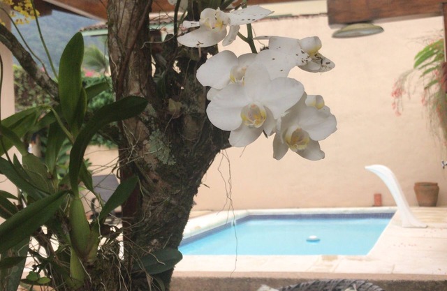 Haven in Ubatuba - to relax !!