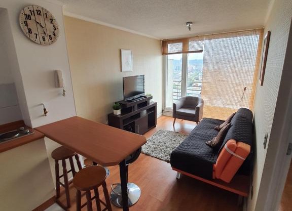 Hermoso departamento Concepción Centro