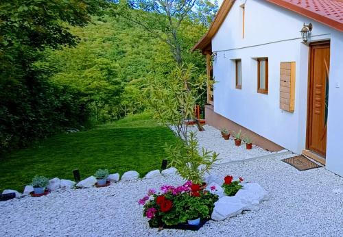 Hilltop Cottage in Szentendre, mountain view, terrace, garden