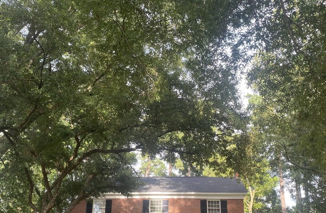 Historic home on 2+ wooded acres w/ pool in heart of Nacogdoches