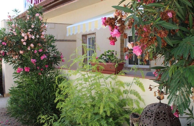Holiday apartment San Pedro del Pinatar for 1 - 4 persons with 1 bedroom - Holiday apartment