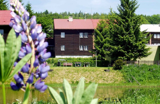 Holiday apartment in Erzgebirge with possibility of apitherapy
