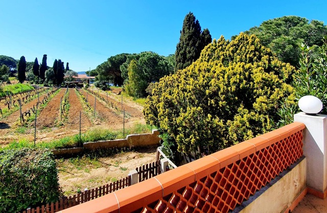 Holiday Apartment "La Scogliera" with Sea View, Air Conditioning & Terrace