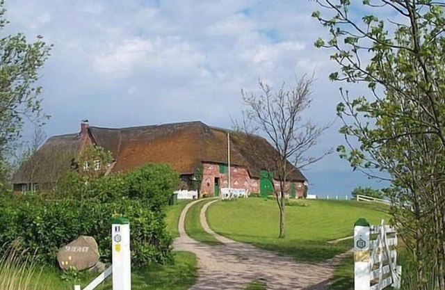 Holiday apartment Pellworm (Ort) for 1 - 2 persons with 1 bedroom - Holiday apartment