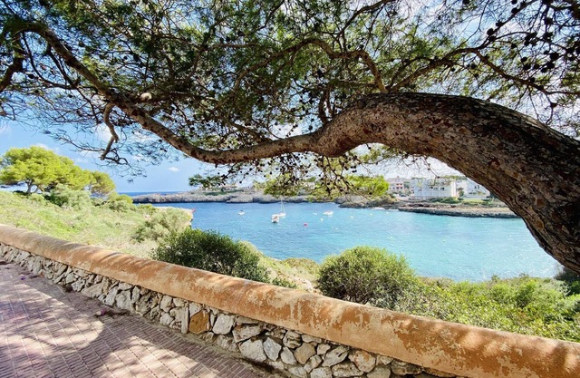 Holiday apartment Son Macià for 1 - 2 persons with 1 bedroom - Holiday apartment in one or multi-fam