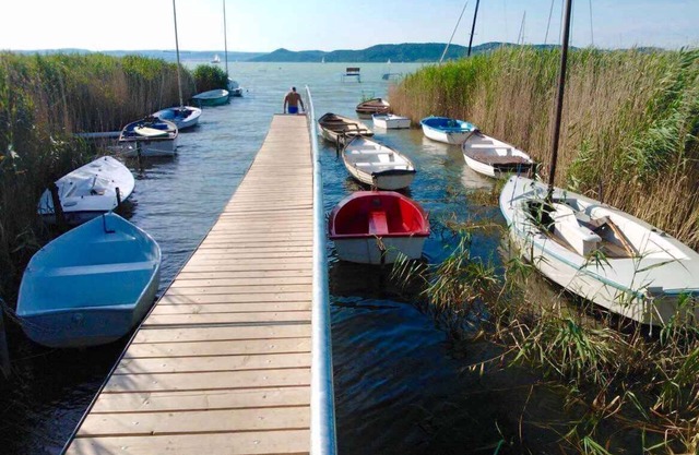 Holiday home 50 m to Balaton with footbridge and boat