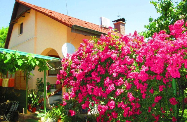 Holiday home with terrace and barbecue