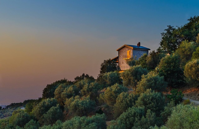 Holiday house in the middle of an olive plantation with fantastic sea view