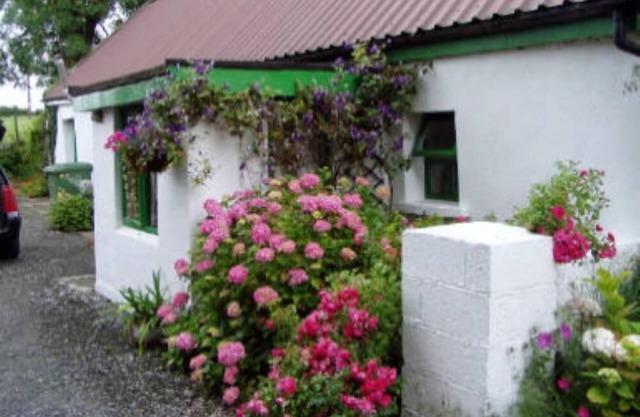 Holiday in the center of Ireland