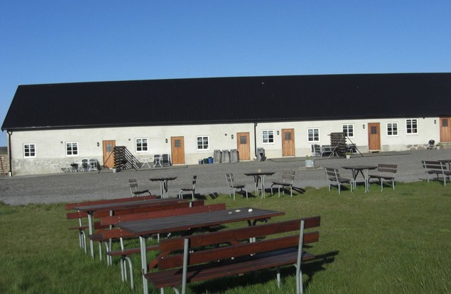 Holidays in the fields near Ystad
