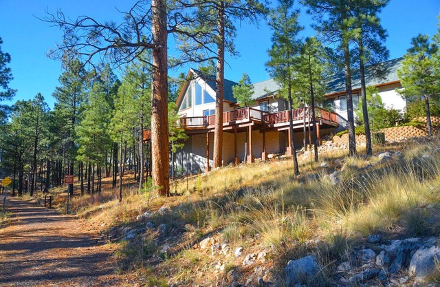 Holland Home - Luxury home w/Forest Views, AC & Hot Tub!