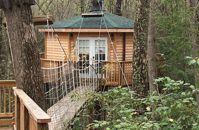 Holly Rock: Cozy Escape in the Treetops w/Hot Tub!