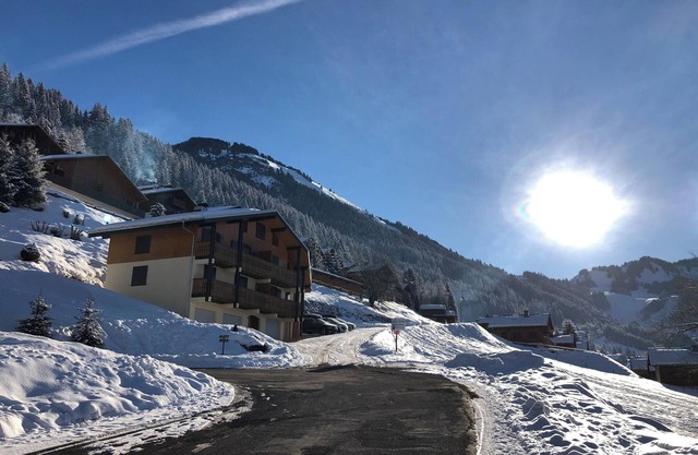 Homerez - Spacious Apartment Châtel 70 m² + Terrace