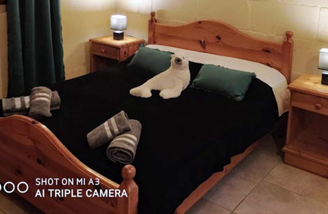 Homerez - Villa for 9 ppl. with swimming-pool, sea view and garden at Iż-Żebbuġ
