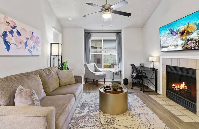 Homey 2br Apt by the Domain, Round Rock, Cedar P.