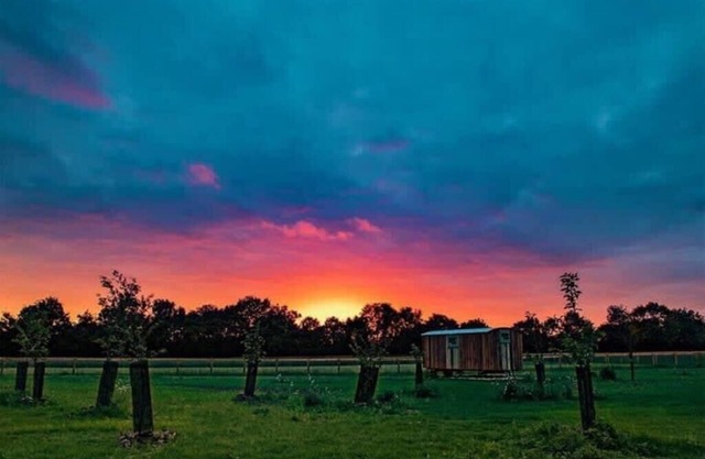 Honeysuckle Farm Hut 3 - Suffolk Farm Holidays