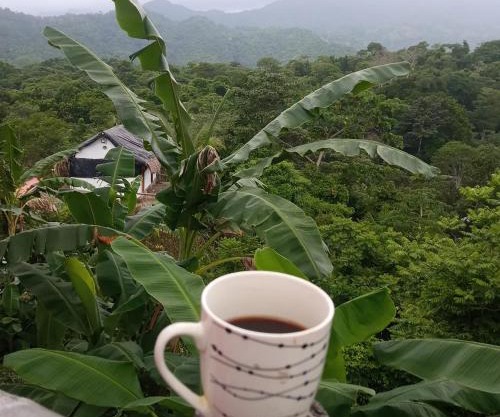 HOSTAL MIRADOR dentro del parque tayrona