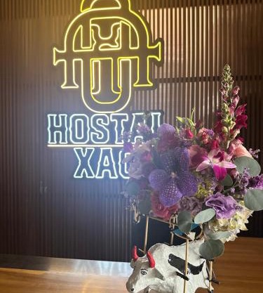 HOSTAL XAO