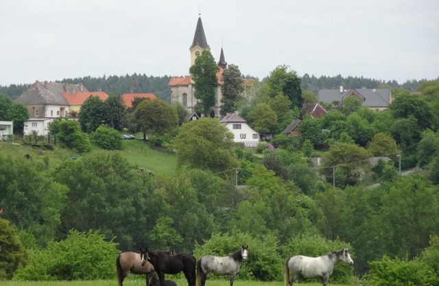 Hostinec u Janatů s ubytováním