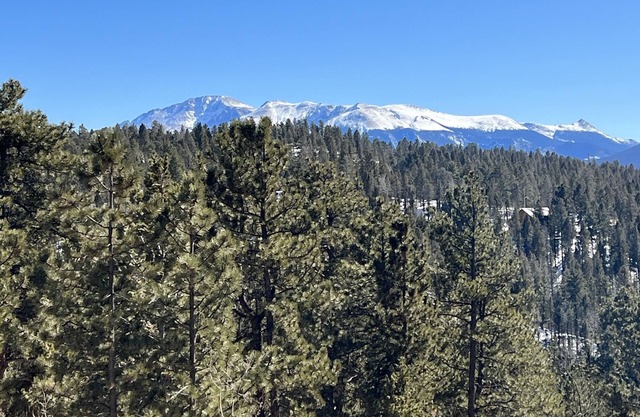Hot Tub ~ New 36' deck ~ 31 acres ~Views ~ Border's National Forest ~ PRIVATE