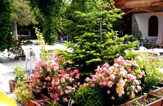 Hotel Asikoglu