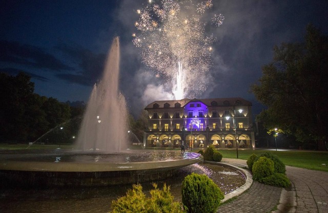 Hotel Austria & Bosna
