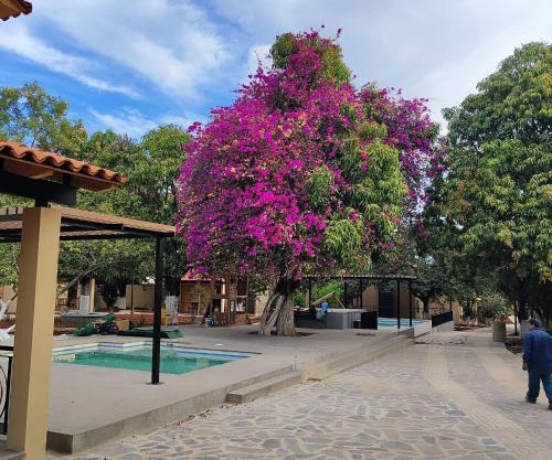 Hotel Cabañas de los Angeles