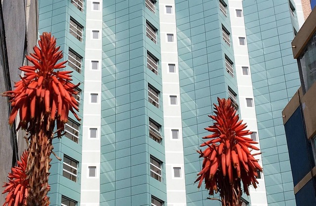 Hotel Costa Pacifico - Suite