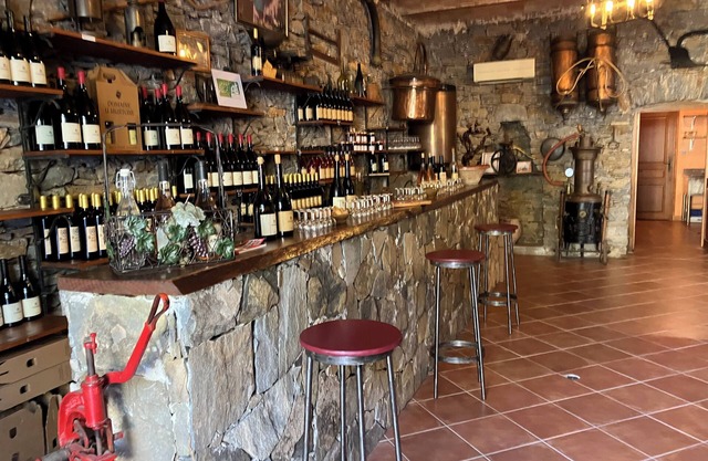 Hotel du Vignoble