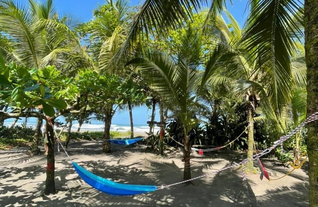 Hotel El Icaco Tortuguero