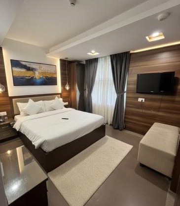 Hotel Metro Plaza Near New Delhi Railway Station and RK Ashram Metro Station