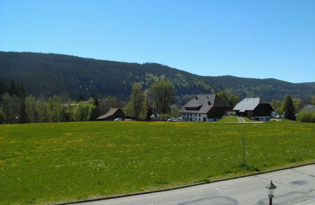 Hotel Rheingold Garni