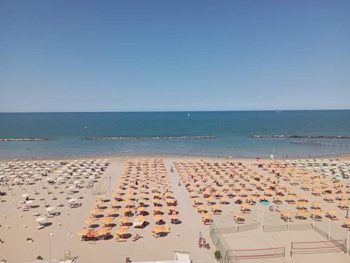 Hotel Salsedine " 5 mt from the Beach ! "