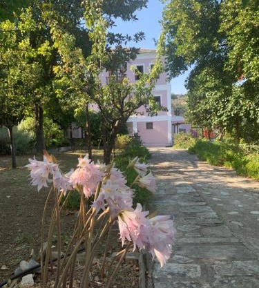 House in Propan