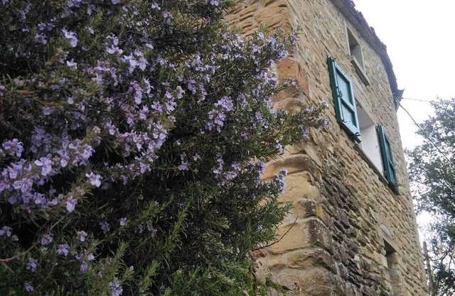 House made of stone and chestnut wood, at the foot of the chestnut grove
