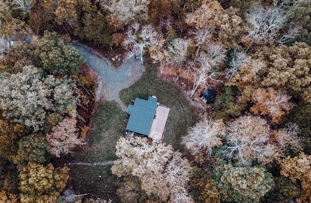 House of Four Seasons - Modern Cabin on 7 acres in Narrowsburg - dog friendly.