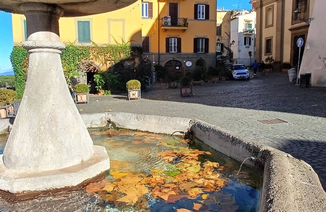 House of Giuseppe and Tiziana - Frascati historical center 30 min by train from Rome