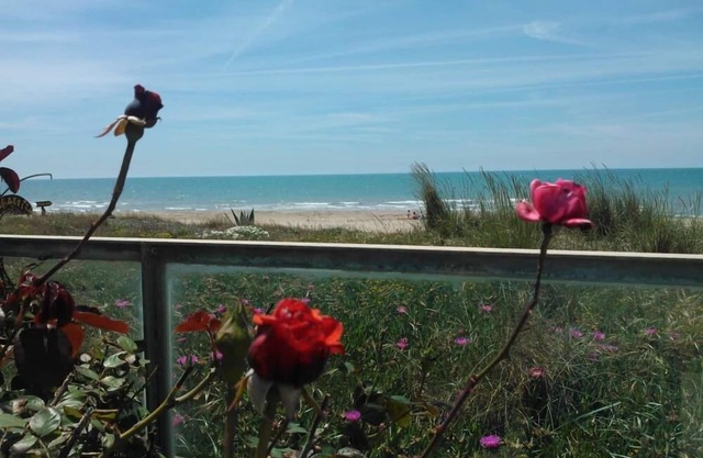 House/Villa - Anzio