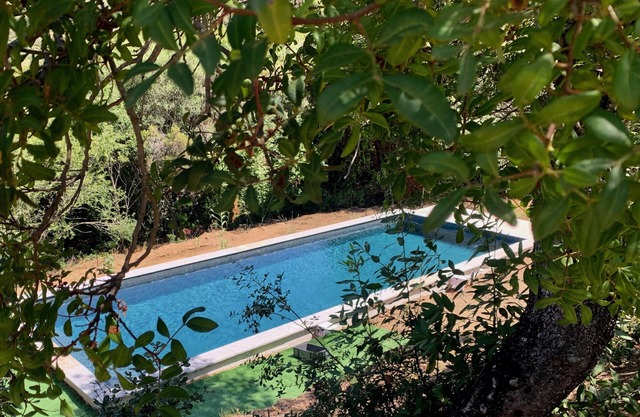House /Villa - Calcatoggio