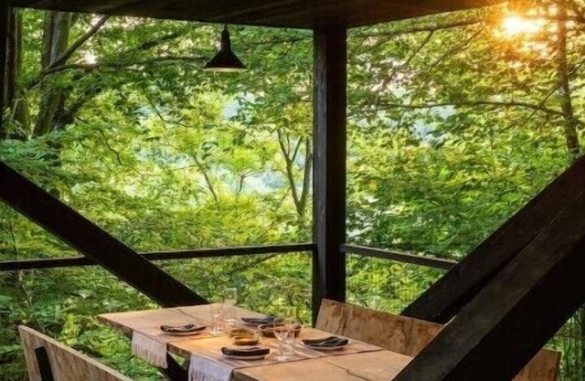 Hutstuf - The Owl & private rooftop saunann