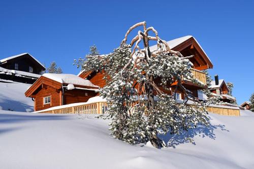 Hyggelig Blikk - Mountain Cabin with Sauna & Ski Access